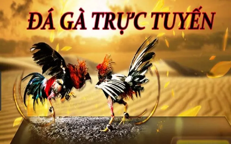 Đá Gà CAT368: Sân Chơi Cá Cược Đỉnh Cao Cho Người Yêu Thích Thể Thao Đỏ Đen